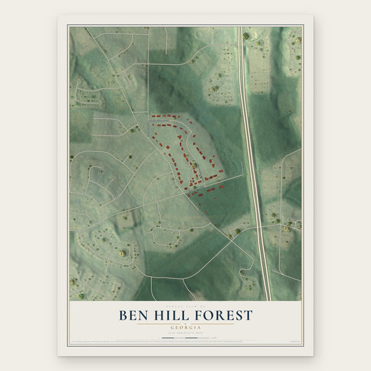 Ben Hill Forest, Georgia map print, the full design