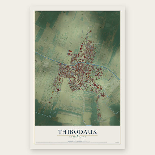 Thibodaux, Louisiana map print, the full design