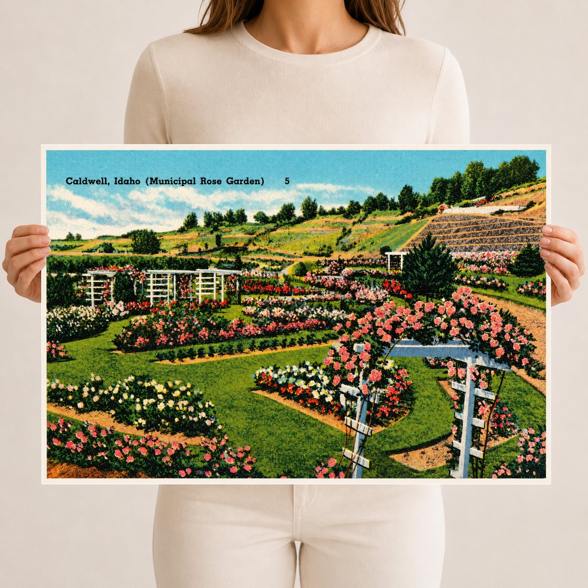 Caldwell, ID: Caldwell, Idaho (Municipal Rose Garden)
