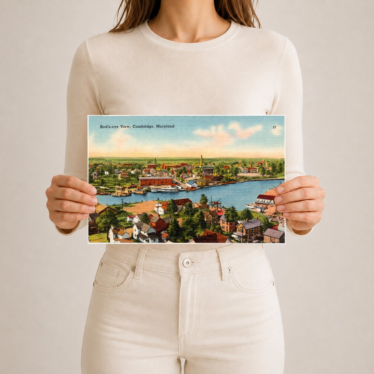 Bird's-eye view, Cambridge, Maryland — Vintage Maryland Postcard