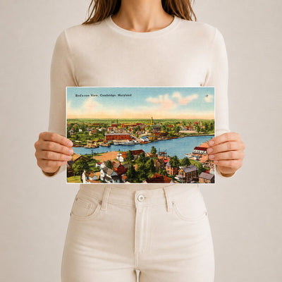 Bird's-eye view, Cambridge, Maryland — Vintage Maryland Postcard