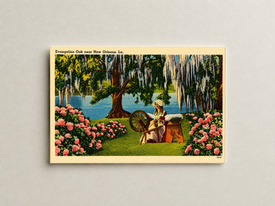 New Orleans, LA: Evangeline Oak near New Orleans