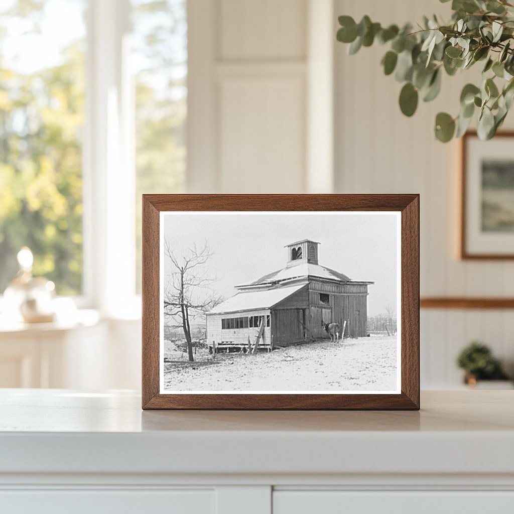 1856 Barn Near Ottawa Illinois Vintage Photo January 1937 - Available at KNOWOL