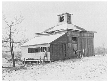 1856 Barn Near Ottawa Illinois Vintage Photo January 1937 - Available at KNOWOL