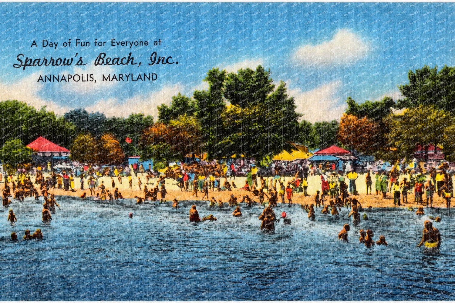 A day of fun for everyone at Sparrow's Beach, Inc., Annapolis, Maryland — Vintage Maryland Postcard