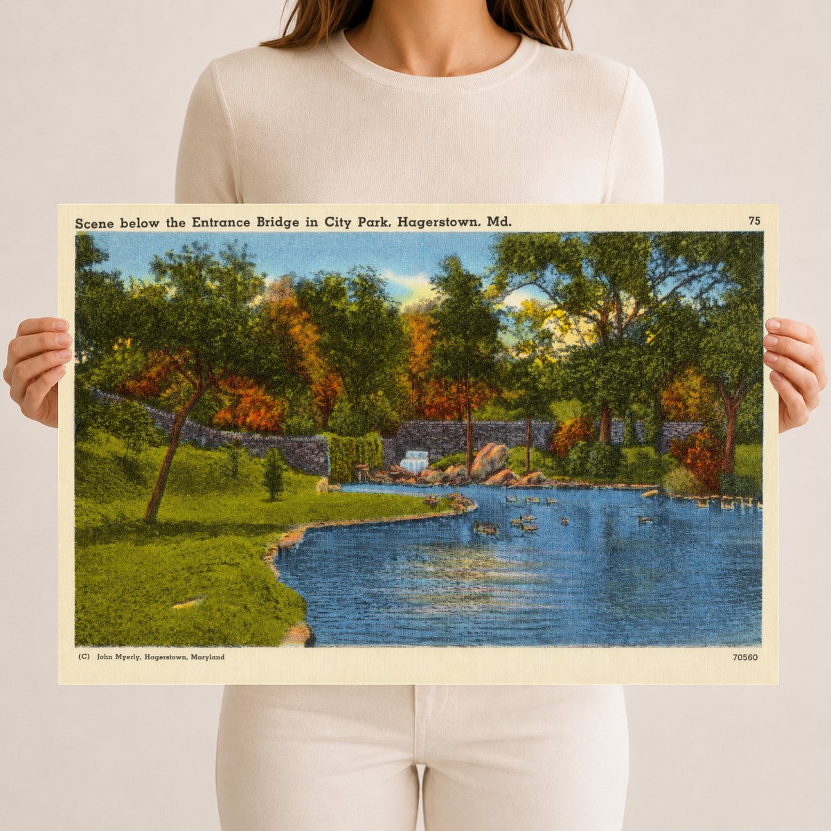 Scene below the Entrance Bridge in City Park, Hagerstown, MD — Vintage Maryland Postcard