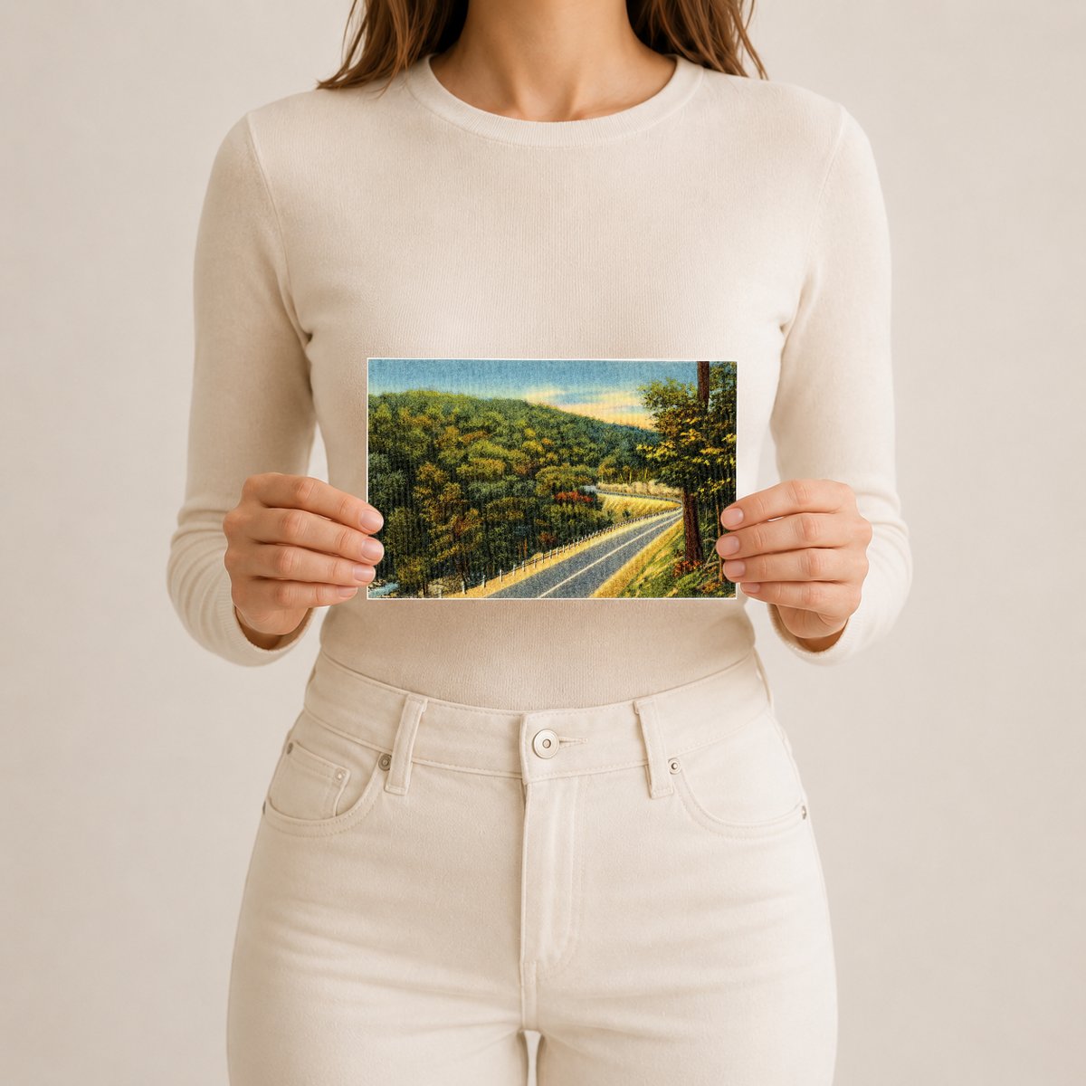 Road winding through forest — Vintage Maryland Postcard