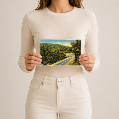 Road winding through forest — Vintage Maryland Postcard