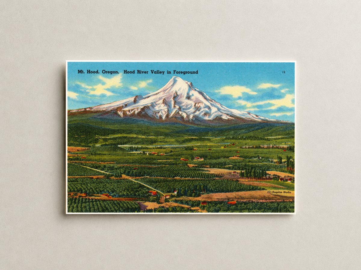 Hood River Valley, OR: Mt. Hood, Oregon. Hood River Valley in foreground