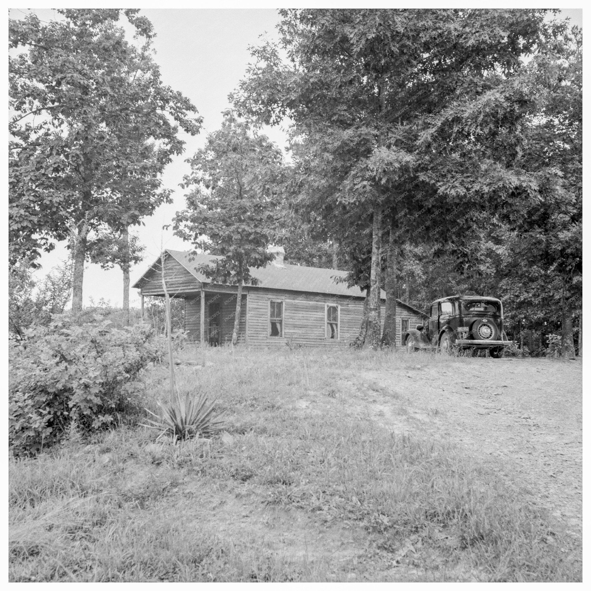 1925 Shotgun Weatherboard House Person County NC 1939 Image - Available at KNOWOL