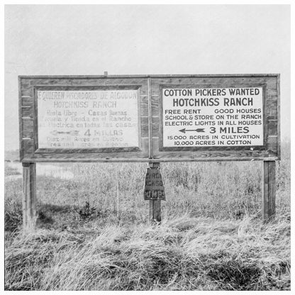 1933 Employment Signs in Spanish and English Fresno Ranches - Available at KNOWOL