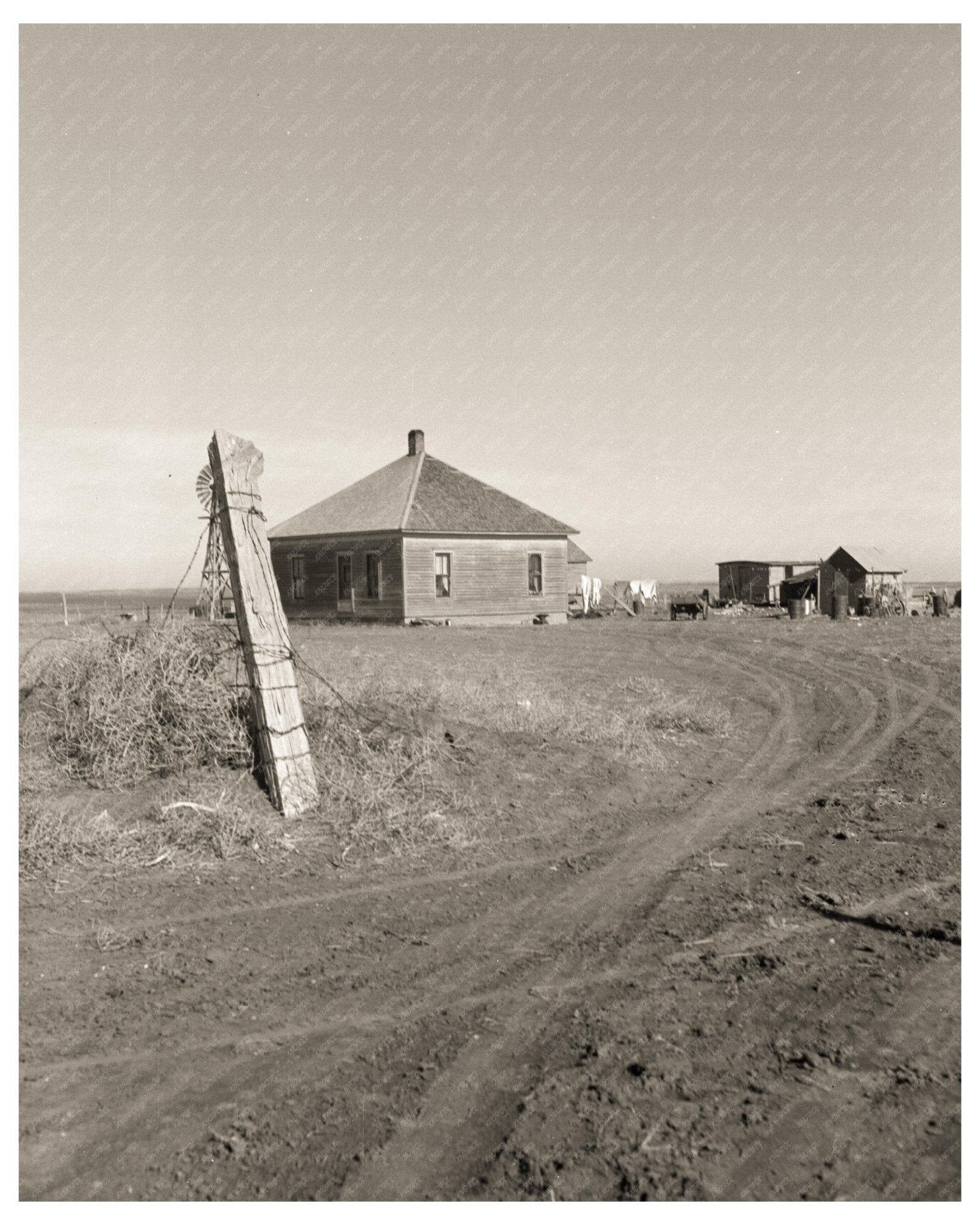 1935 Vintage Image of a Farm in Harding County New Mexico During the Great Depression - Available at KNOWOL