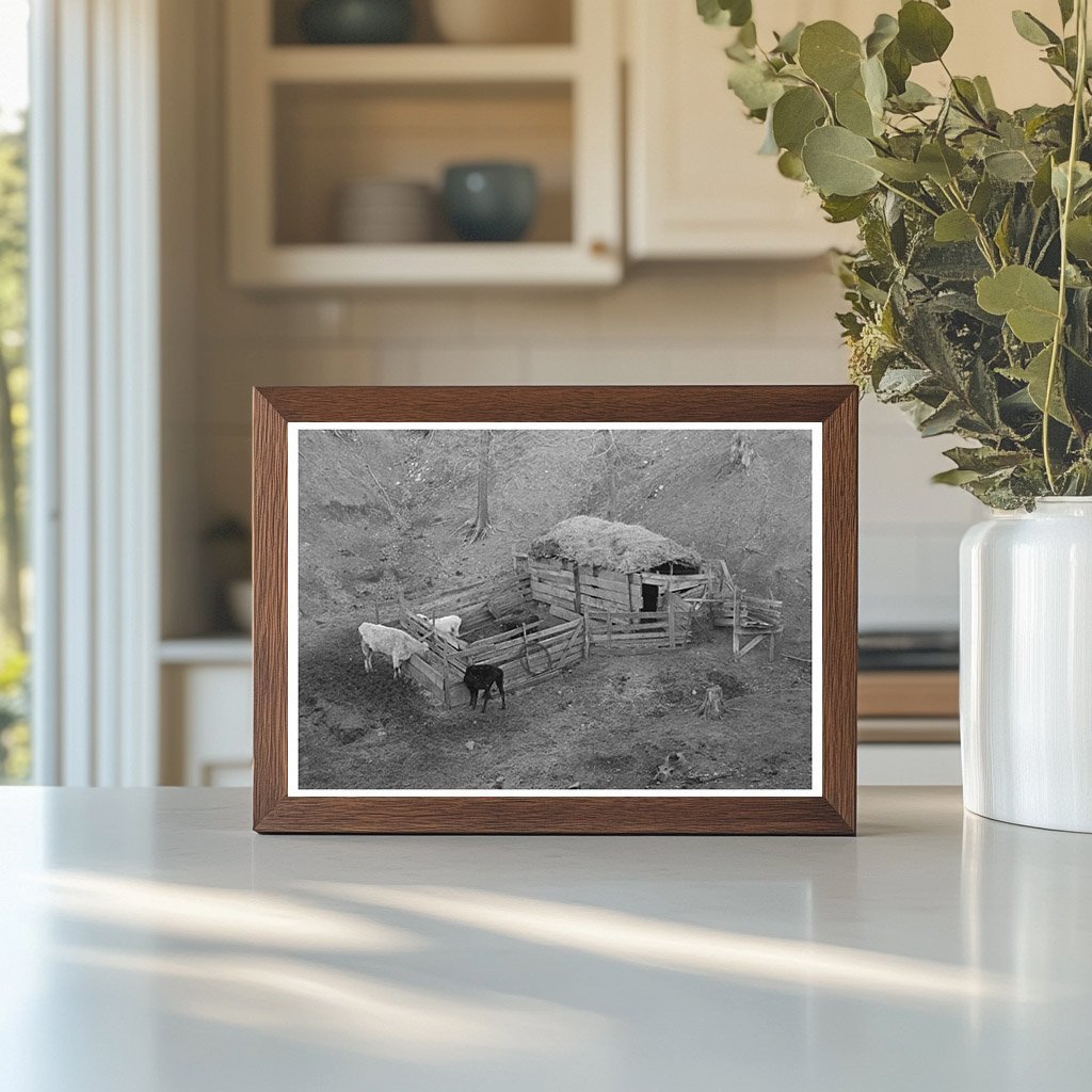 1936 Livestock Shelter on Charles Banta Farm Iowa - Available at KNOWOL