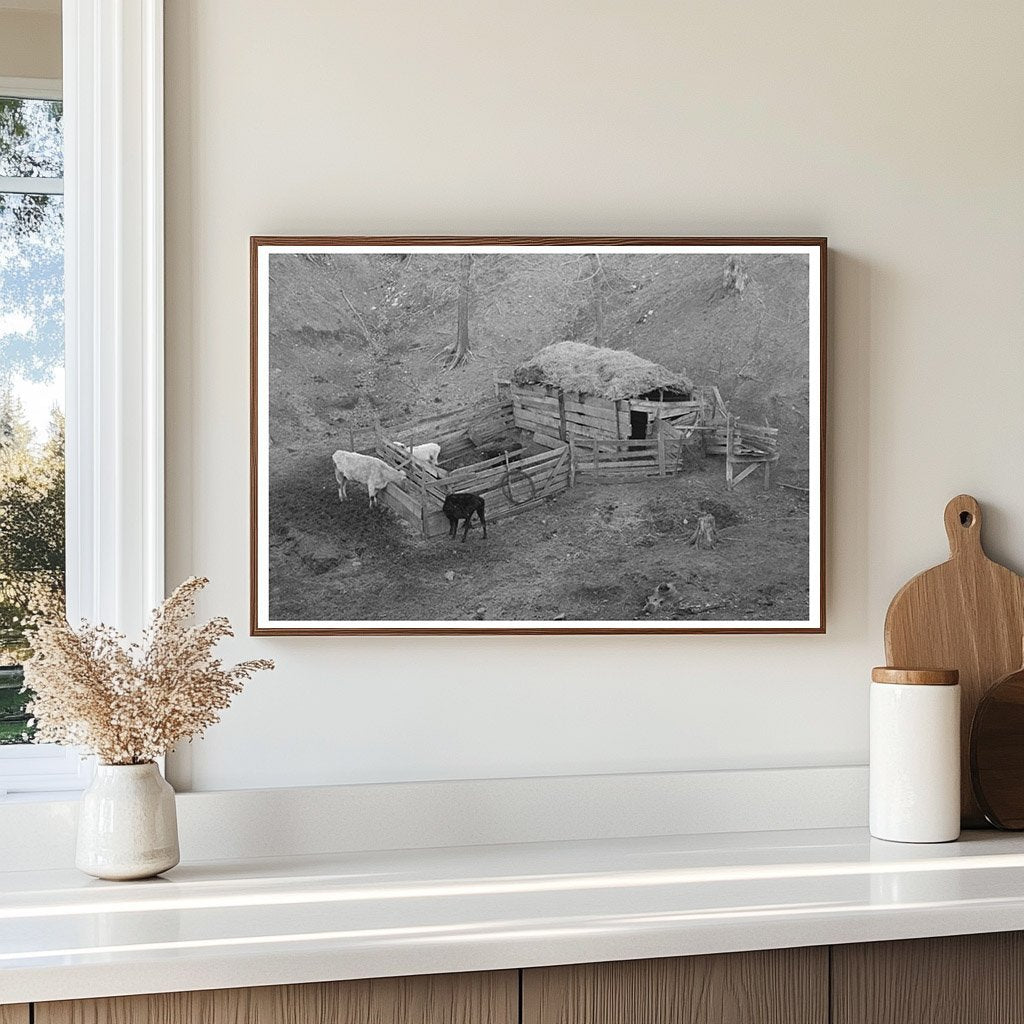 1936 Livestock Shelter on Charles Banta Farm Iowa - Available at KNOWOL