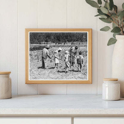 1936 Tenant Farmer and Children Cotton Farming Alabama - Available at KNOWOL