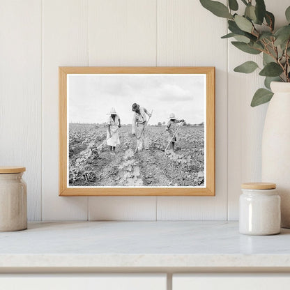 1936 Tenant Farmers Hoeing Cotton in Alabama - Available at KNOWOL