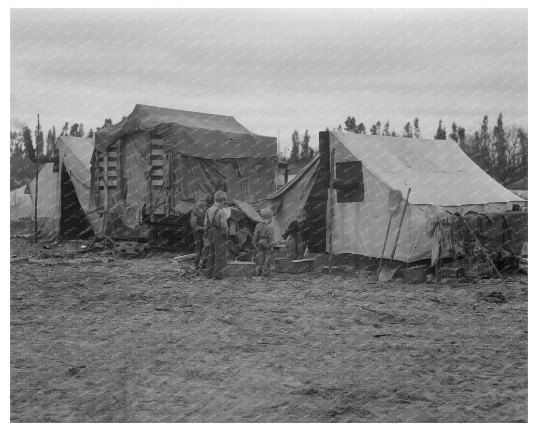 1936 Vintage Image of Largest Pea Camps in California During Great Depression - Available at KNOWOL