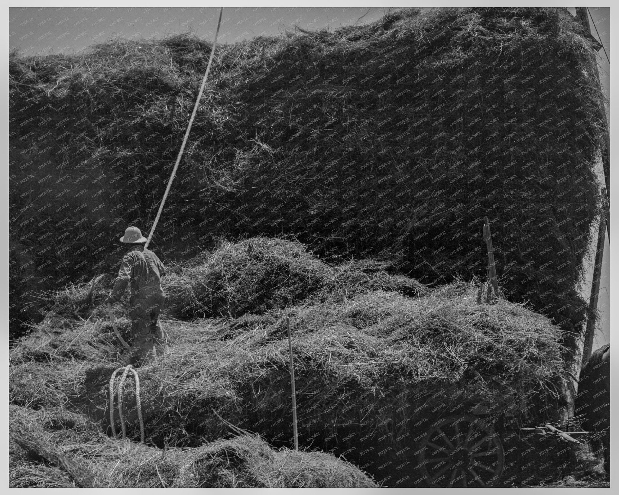 1936 Vintage Photo of Oat Threshing in Clayton Indiana - Available at KNOWOL