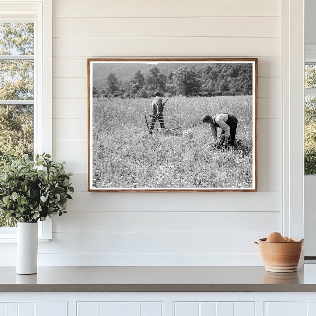 1936 Wheat Harvesting in Rappahannock County Virginia - Available at KNOWOL