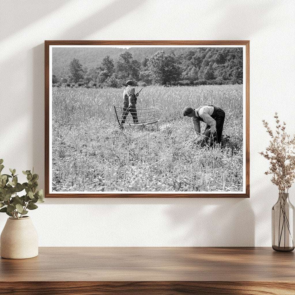 1936 Wheat Harvesting in Rappahannock County Virginia - Available at KNOWOL