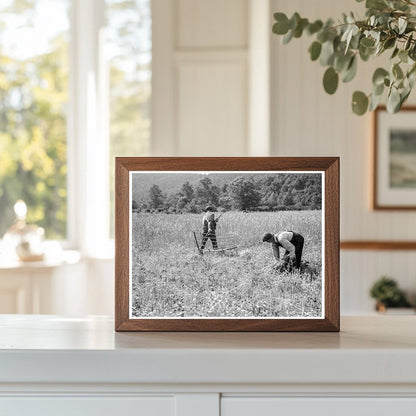 1936 Wheat Harvesting in Rappahannock County Virginia - Available at KNOWOL