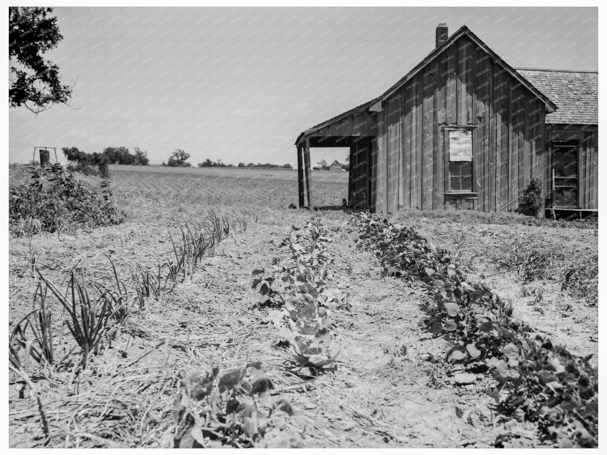 1937 Abandoned Tenant Farmhouse in Ellis County Texas - Available at KNOWOL