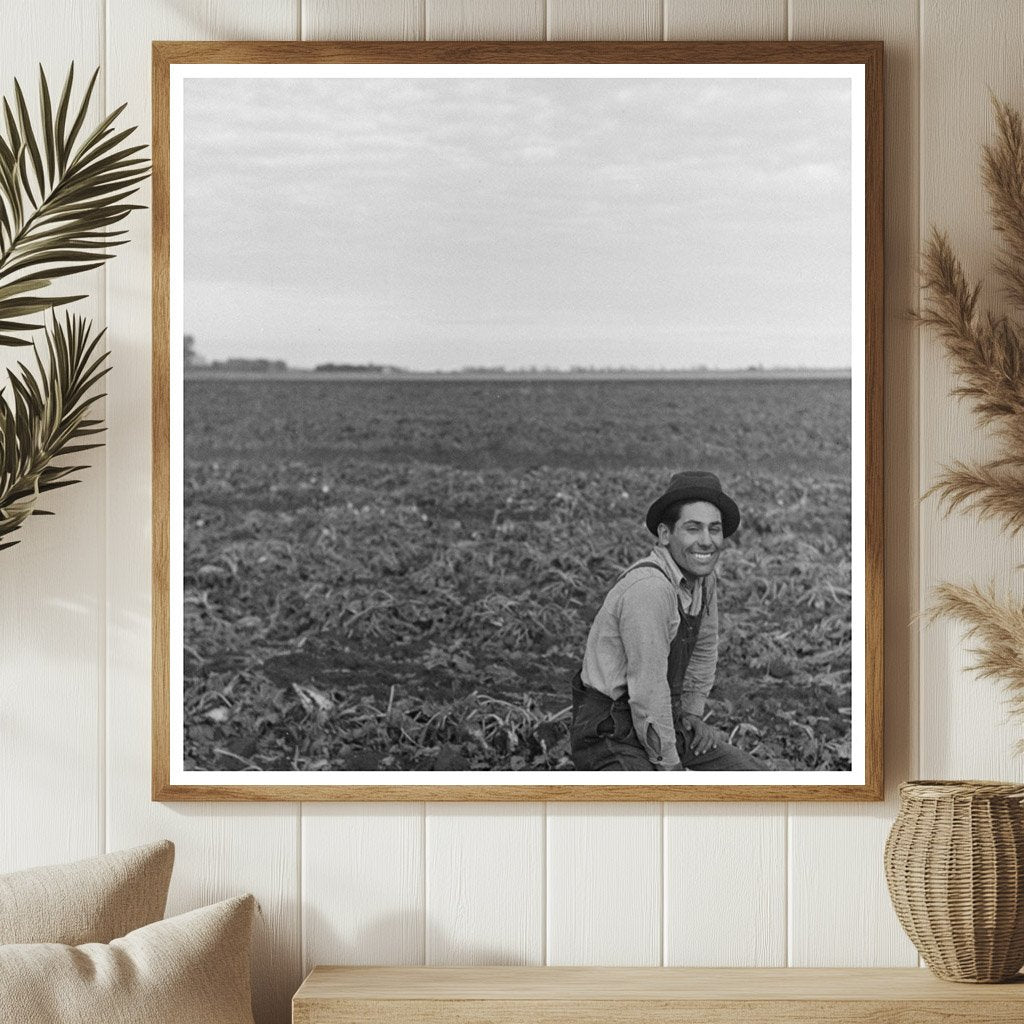 1937 Agricultural Laborers in Sugar Beet Fields Minnesota - Available at KNOWOL