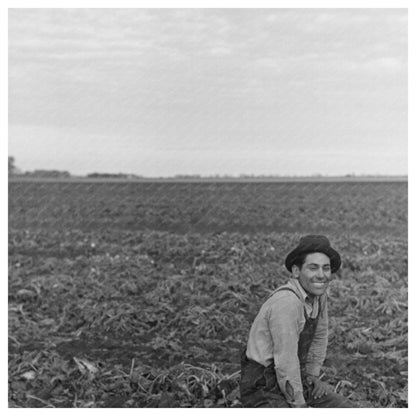 1937 Agricultural Laborers in Sugar Beet Fields Minnesota - Available at KNOWOL