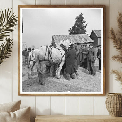 1937 Auction of Horses at Frank Sheroans Farm Indiana - Available at KNOWOL