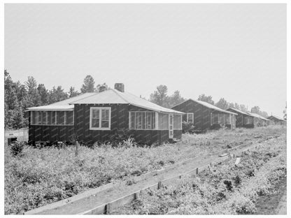 1937 Cabins at Delta Cooperative Farms Mississippi - Available at KNOWOL