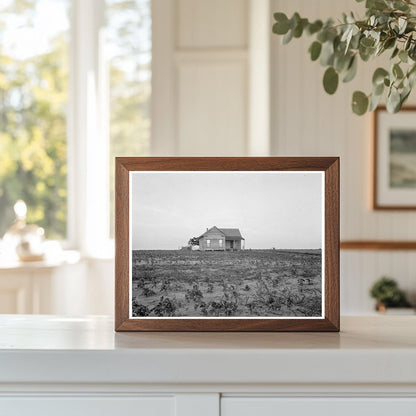 1937 Cotton Sharecropper Farm in Texas Image - Available at KNOWOL