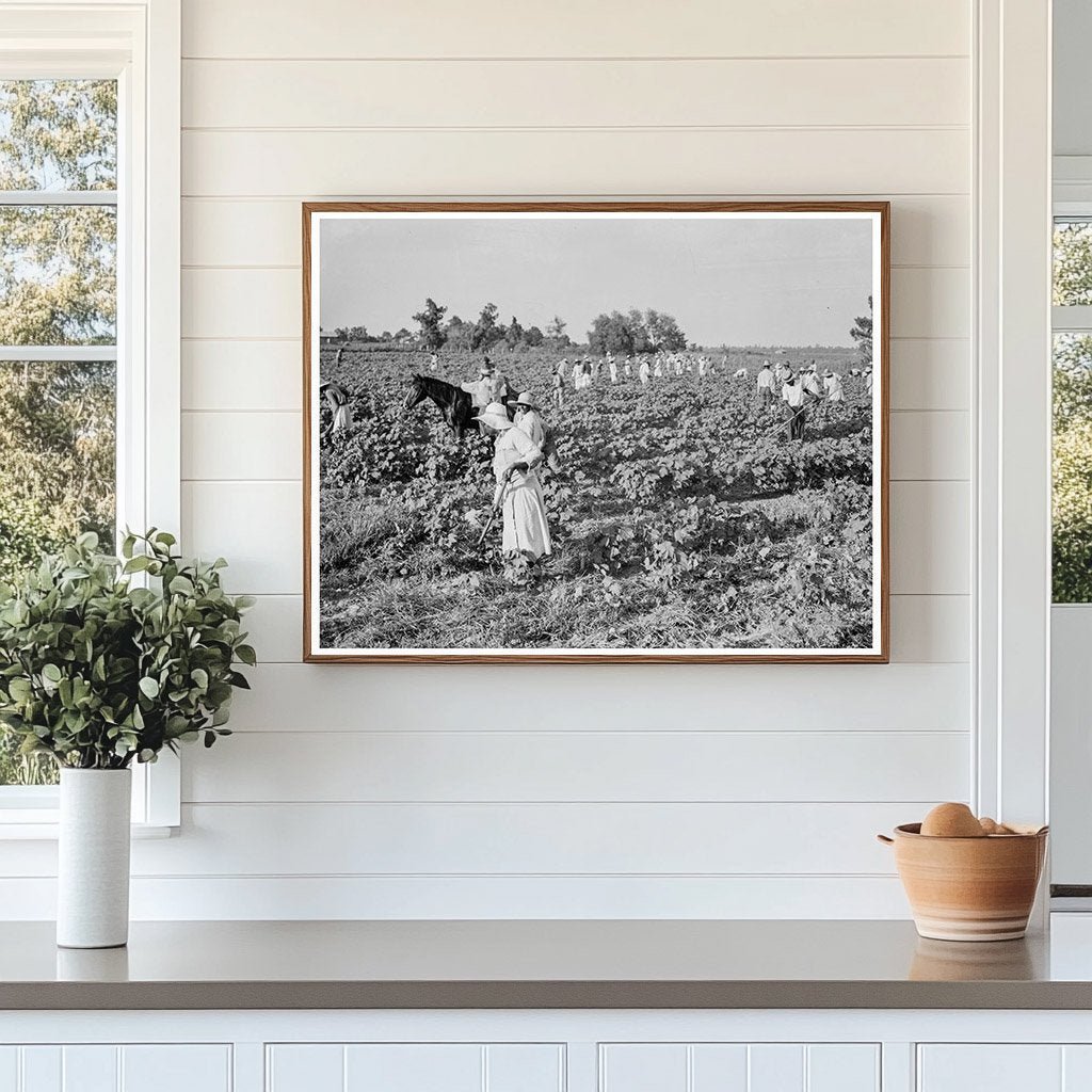 1937 Cotton Workers at Aldridge Plantation Mississippi - Available at KNOWOL