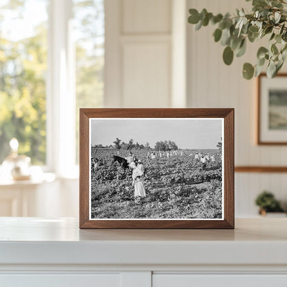 1937 Cotton Workers at Aldridge Plantation Mississippi - Available at KNOWOL