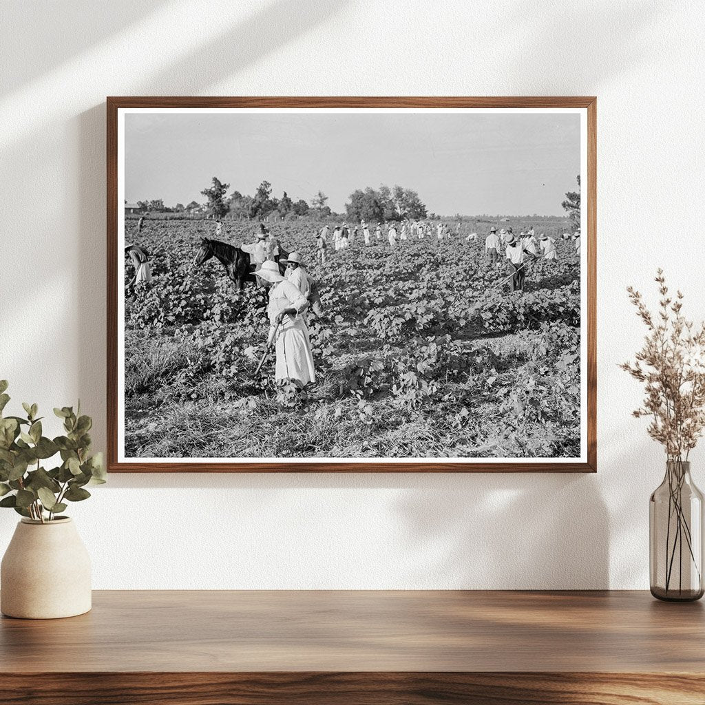 1937 Cotton Workers at Aldridge Plantation Mississippi - Available at KNOWOL