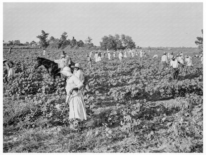 1937 Cotton Workers at Aldridge Plantation Mississippi - Available at KNOWOL