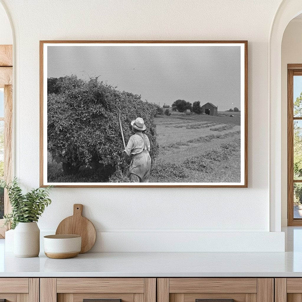 1937 Farmer Pitching Pea Vines on Truck Wisconsin Farm - Available at KNOWOL