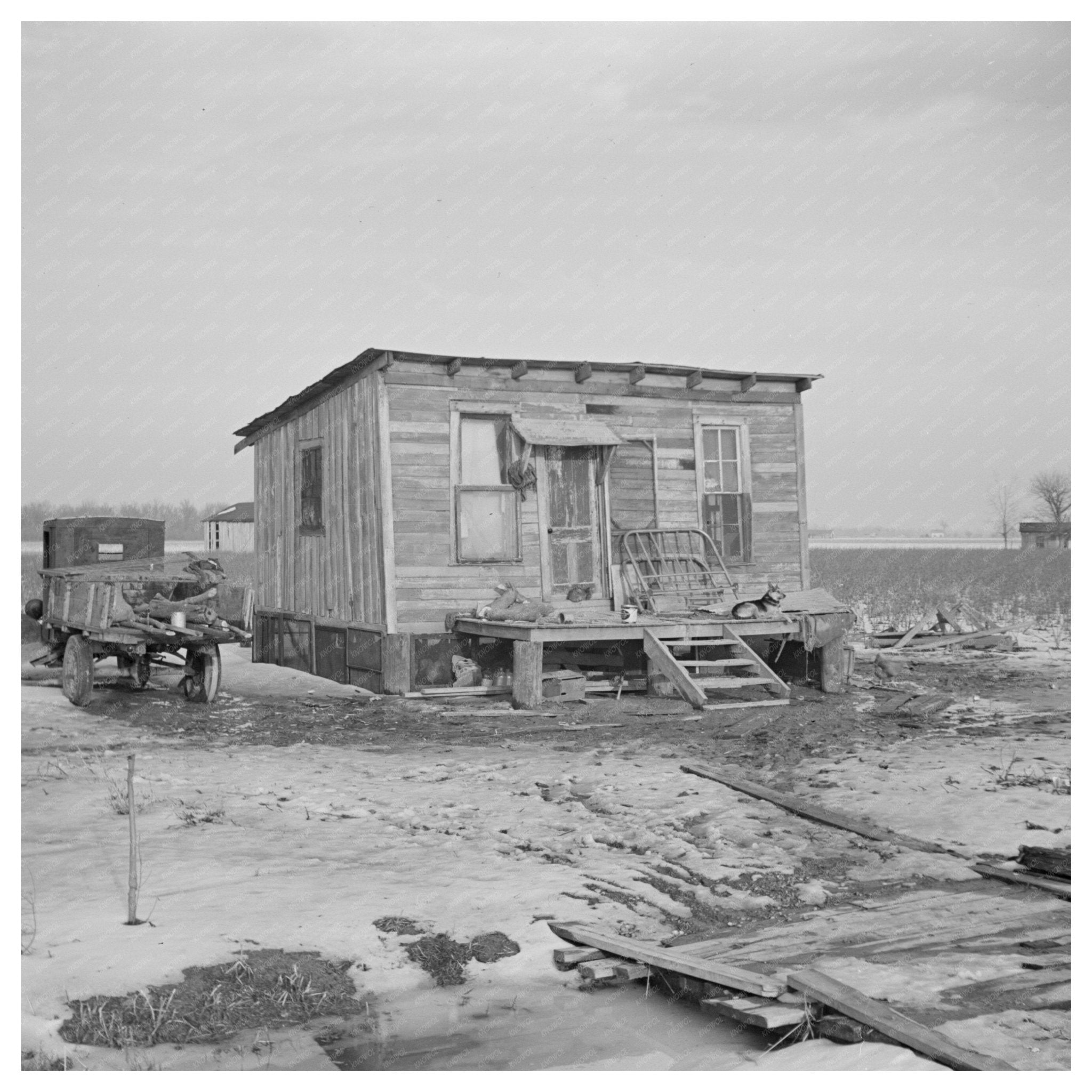 1937 Flooded Farmhouse in Cache Illinois with Guard Dog - Available at KNOWOL