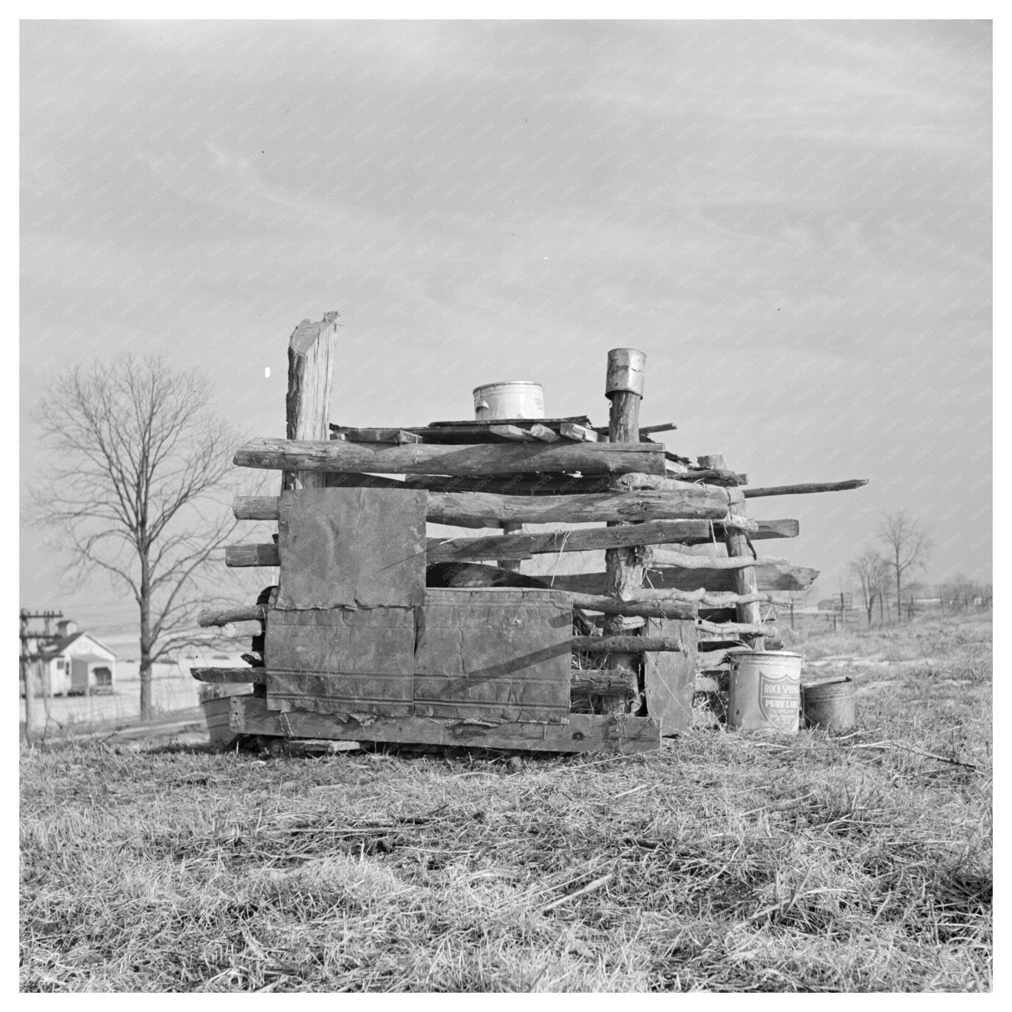 1937 Improvised Pig Pen on Levee in Cache Illinois - Available at KNOWOL