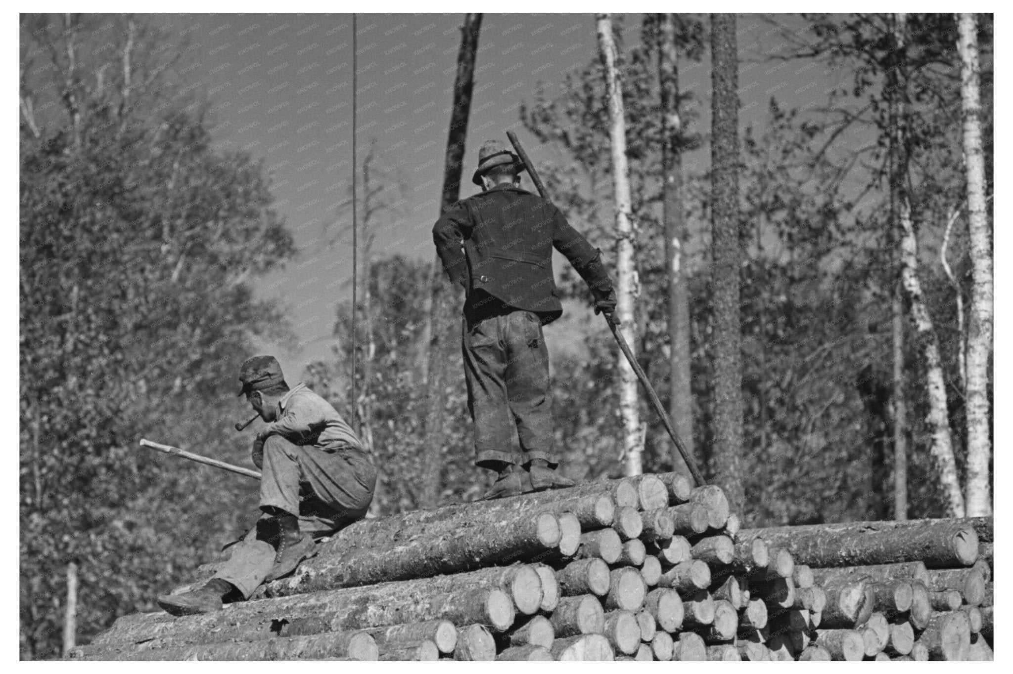 1937 Lumber Camp Log Loading Near Effie Minnesota - Available at KNOWOL