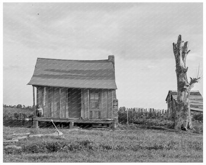 1937 Plantation Cabin of Sharecropper in Mississippi - Available at KNOWOL