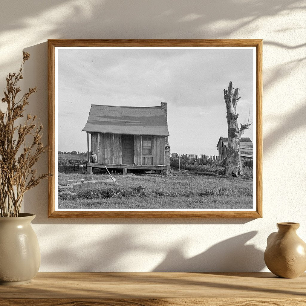 1937 Plantation Cabin of Sharecropper in Mississippi - Available at KNOWOL