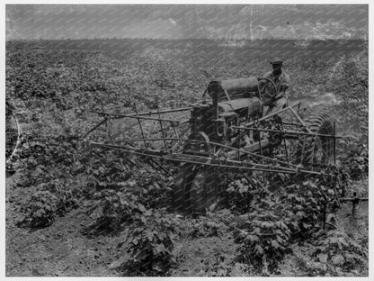 1937 Tractor with Four - Row Cultivator at Aldridge Plantation - Available at KNOWOL