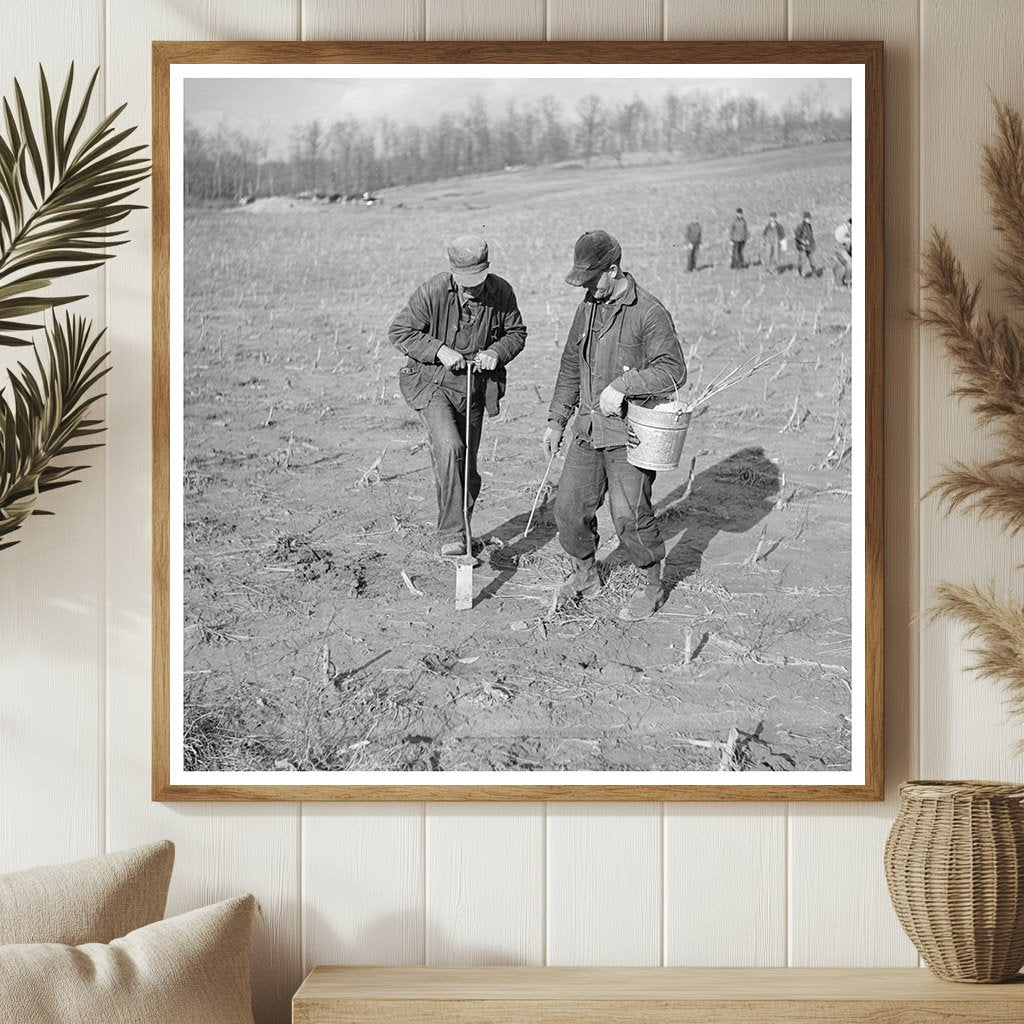 1937 Tree Planting Initiative in Martin County Indiana - Available at KNOWOL