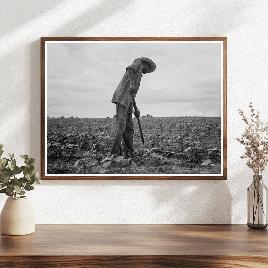 1937 Vintage Image of Cotton Workers in Yazoo City Mississippi - Available at KNOWOL
