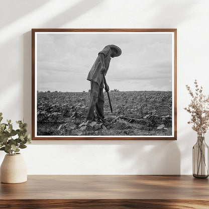 1937 Vintage Image of Cotton Workers in Yazoo City Mississippi - Available at KNOWOL