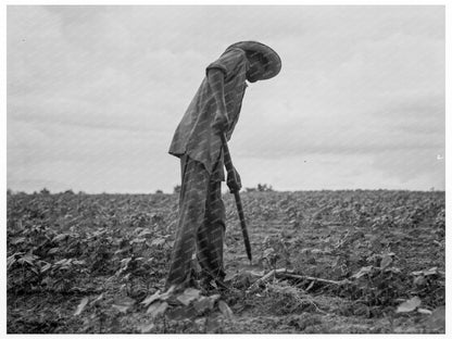 1937 Vintage Image of Cotton Workers in Yazoo City Mississippi - Available at KNOWOL
