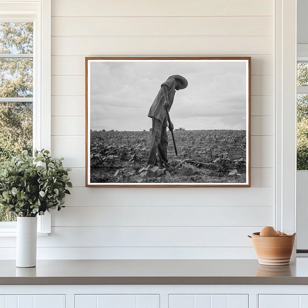 1937 Vintage Image of Cotton Workers in Yazoo City Mississippi - Available at KNOWOL