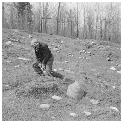 1937 Vintage Image of Stone Removal in Michigan Agriculture - Available at KNOWOL