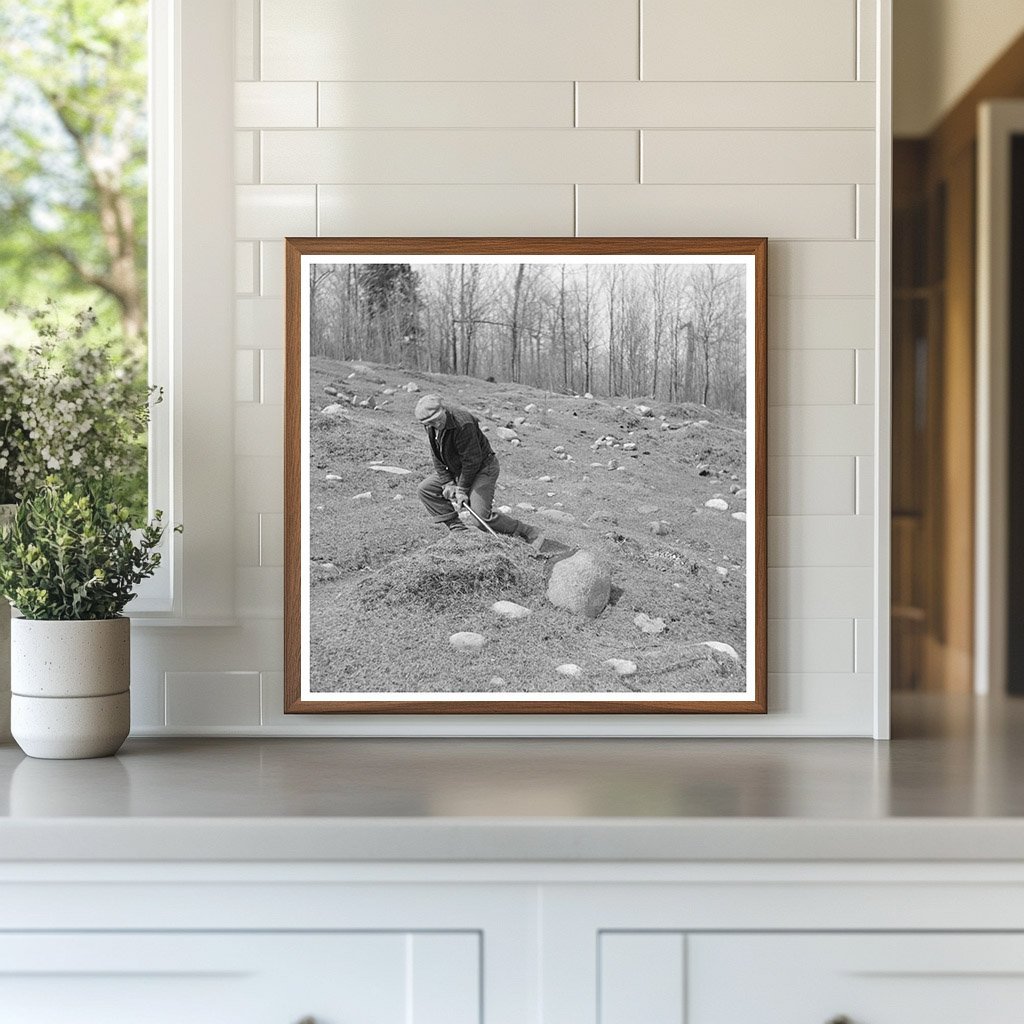 1937 Vintage Image of Stone Removal in Michigan Agriculture - Available at KNOWOL