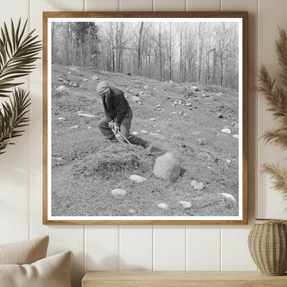 1937 Vintage Image of Stone Removal in Michigan Agriculture - Available at KNOWOL